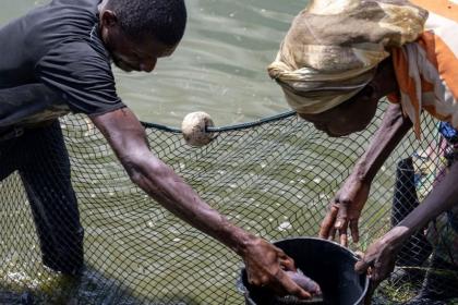 Angola casts net wider to scale up fish exports